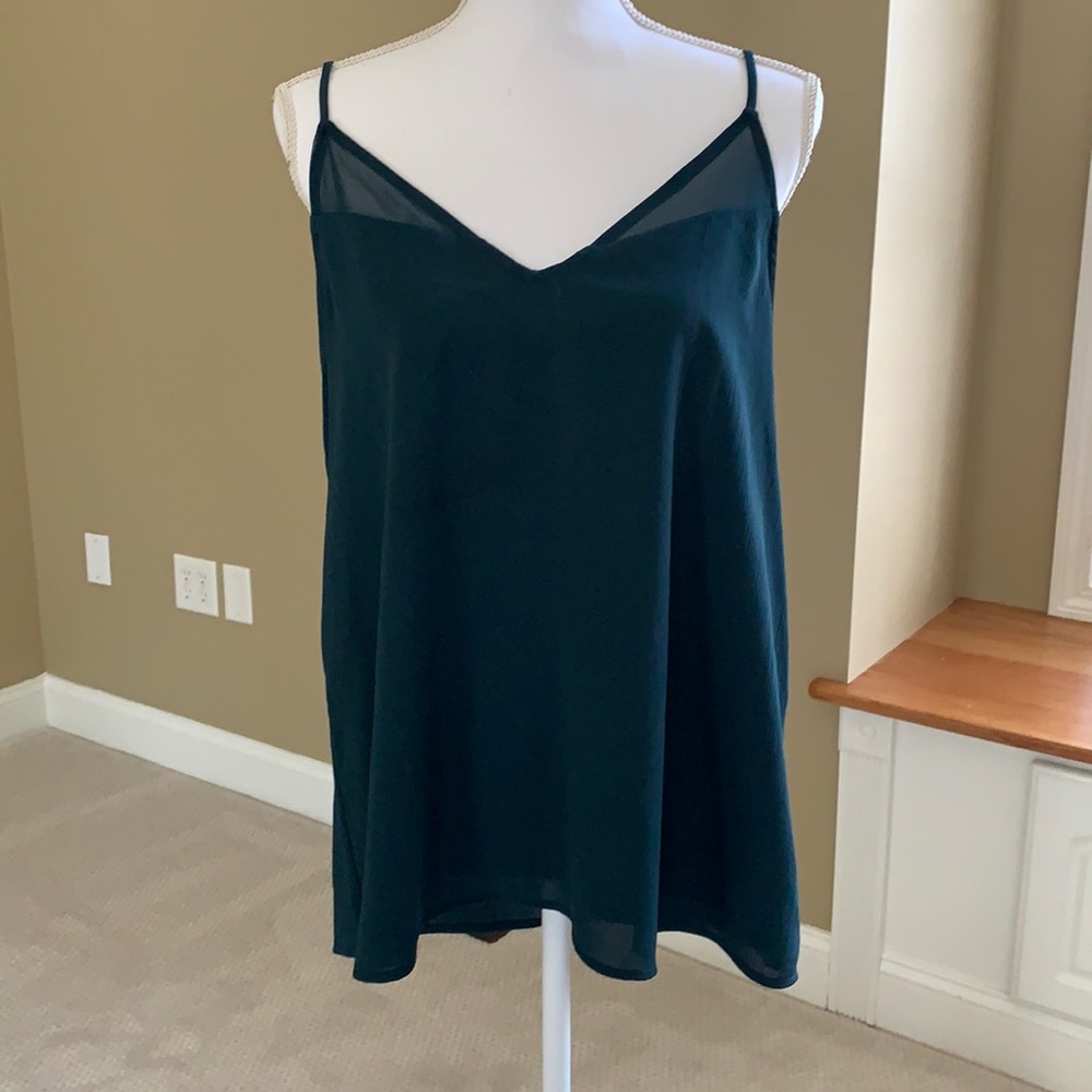 Sophie Rue Nella Sheer Detail Blouse